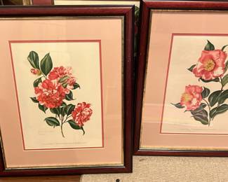 Beautiful floral prints 