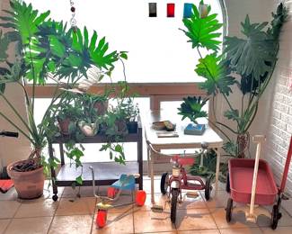 Trikes, Scooter, Plants!