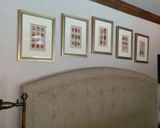 These egg types are very nice.