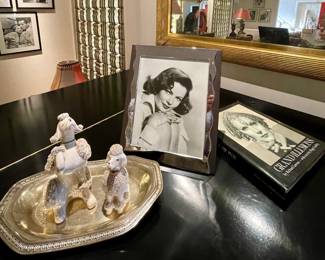 Stylish Poodles, Frame & More