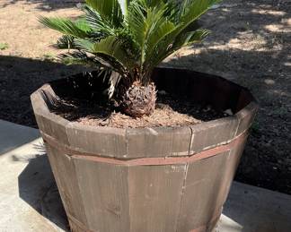 4 barrel planters