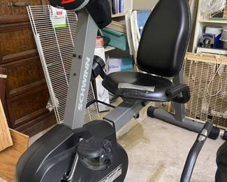 Schwinn Recumbent Bike