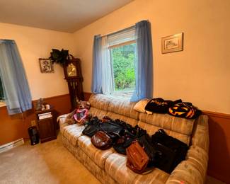 SLeeper sofa (Priced to sell