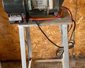 Delta Universal Wet Dry Grinder