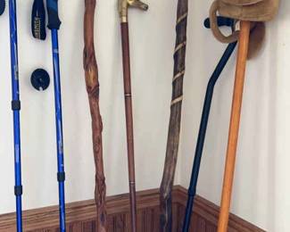 Canes Walking Sticks