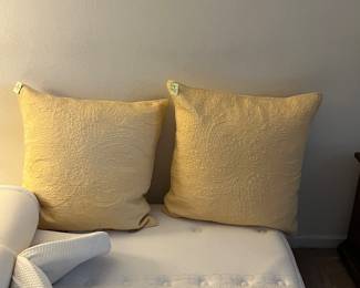 Pottery Barn Euro shams