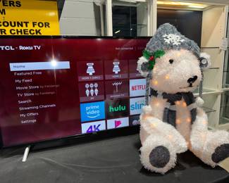 TCL TV and Lighted Teddy Bear Orlando