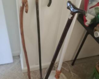 Cute walking sticks