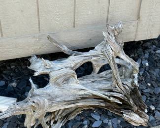 Driftwood 