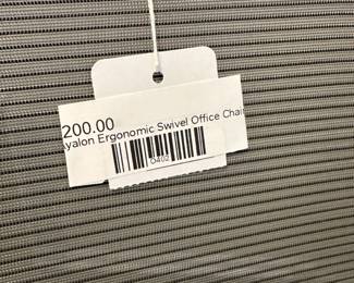 Ayalon Ergonomic Swivel Office Chair