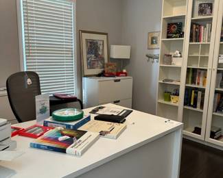 Ikea Desk, Ayalon Ergonomic Swivel Office Chair