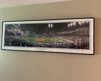 Tiger's stadium framed art