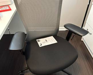 Ayalon Ergonomic Swivel Office Chair