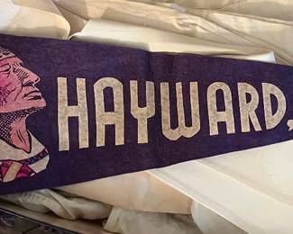 Vintage Hayward, WIS pennant