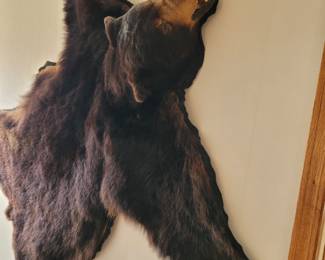 Black bear rug