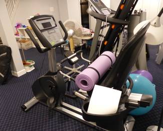 True Fitness recumbent bike, NordicTrack treadmill