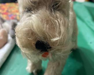 Vintage Steiff Schnauzer Button in Ear 