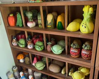 Vintage Salt Pepper Collection