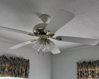 All ceiling fans & light fixtures going
