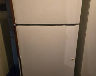 Whirlpool Basement fridge. Cooling and Freezing but not sure about ice maker. it is not connected to water supply.