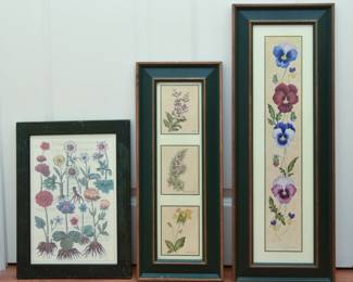 Set of 3 Botanical Prints