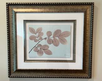 Albert Koetsier Xrayography Prints 