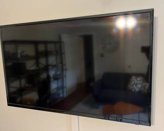 48" Insignia TV