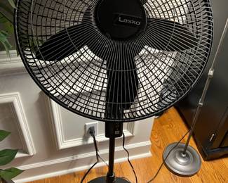 Lasko standing fan (1 of 2)