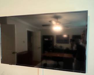 48" Insignia TV
