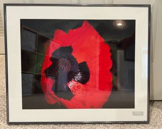 Framed photograph by Ginger Smith