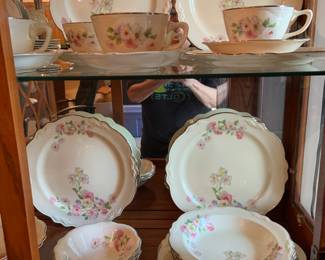 Homer Laughlin "Virginia Rose" china