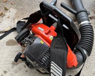 Echo leaf blower