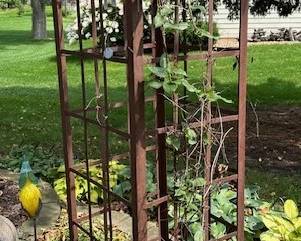 Trellis