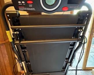 Exerpeutic treadmill (purchased this year)