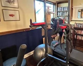 Power Tower Dip Station