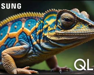 Samsung QLED 65" TV  purchased recently (this is an ad photo)