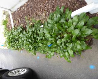 For prices & more info, copy & paste link:  https://beforeudemo.com/sales-event/hinsdale-1917-3000-s-f-home-demolition-sale/