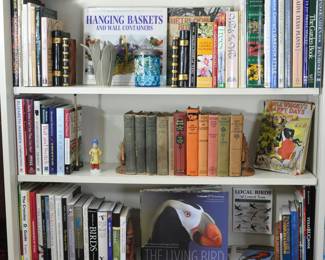 Collectible old books (Tarzan) including one that still has its dust cover, but also some very nice display volumes,