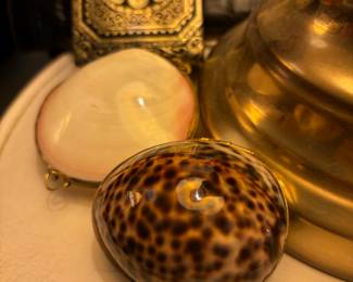Leopard Cowry Shell Trinket Box/Coin Purse, Clam Shell Trinket Box/Coin Purse