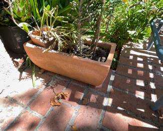 GARDEN PLANTS & GARDEN POTS