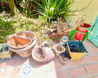 GARDEN PLANTS & GARDEN POTS