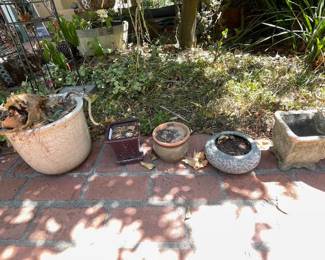 GARDEN PLANTS & GARDEN POTS