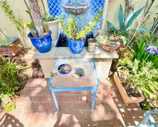 GARDEN PLANTS & GARDEN POTS