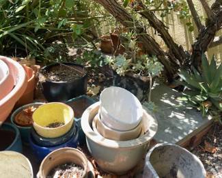 GARDEN PLANTS & GARDEN POTS