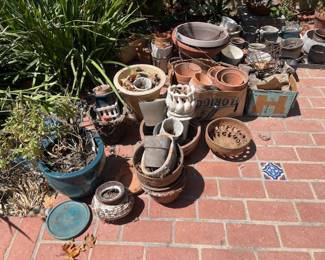 GARDEN PLANTS & GARDEN POTS