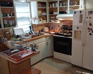 fridge, stove, kitchen