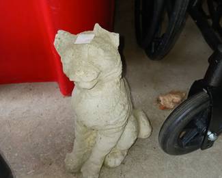 Samantha Garden cat with broken ear