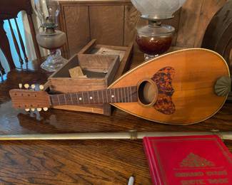 Mandolin made from shell