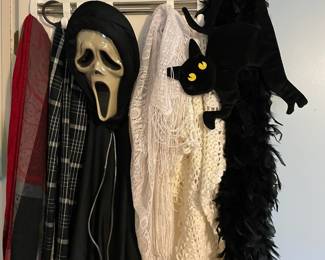 Scarves, masks, and a kitty purse