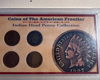 1901 to 1904 Indian Head Penny Collection